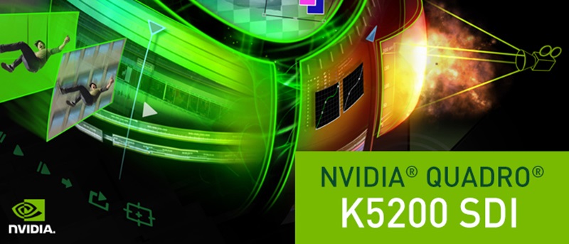  HP NVIDIA Graphics PLUS Quadro 