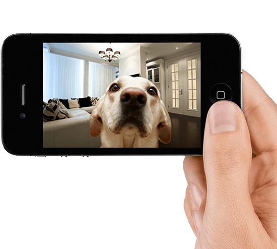 Belkin WeMo IP NetCam Wireless Night Vision