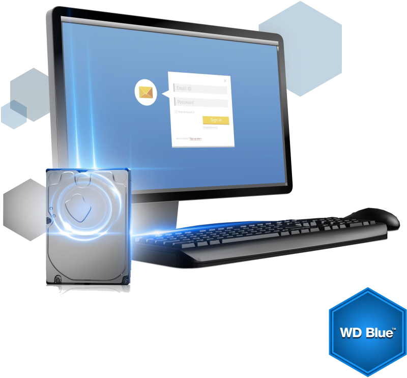 WD Blue 1000GB