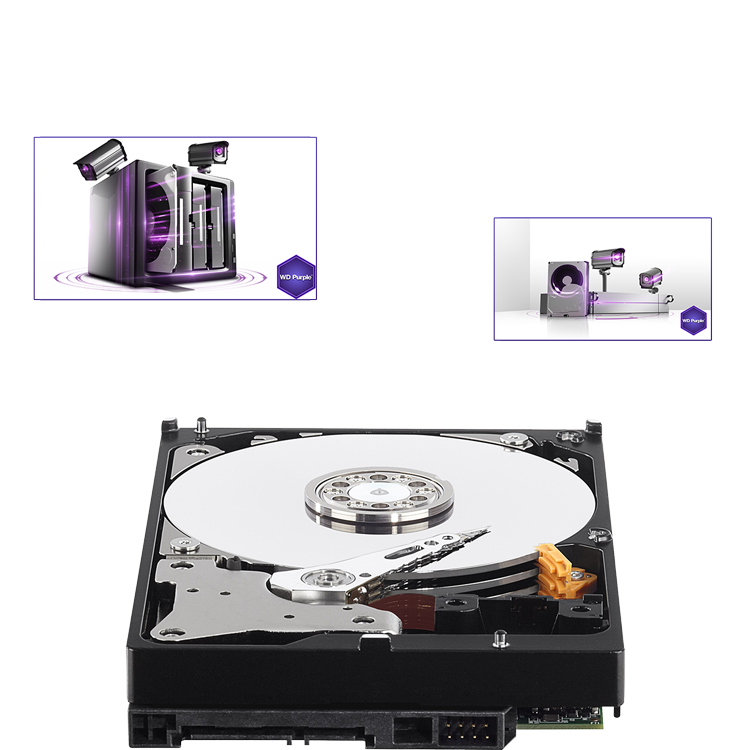 WD Purple WD Purple